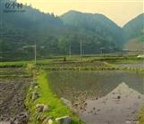 湖南省,邵阳市,城步县,白毛坪乡,枫界村