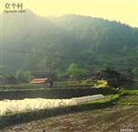 湖南省,邵阳市,城步县,白毛坪乡,枫界村