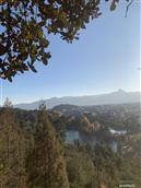 云南省,曲靖市,沾益区,白水镇,勺达村