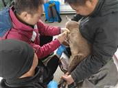 山西省,忻州市,静乐县,中庄乡,史家岭村