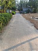 山东省,滨州市,邹平市,码头镇,小太平村