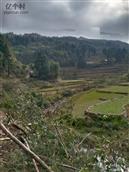 贵州省,遵义市,桐梓县,大河镇,罗溪村