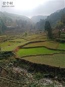 贵州省,遵义市,桐梓县,大河镇,罗溪村