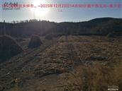 辽宁省,朝阳市,龙城区,半拉山街道,半拉山村