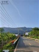 河南省,洛阳市,洛龙区,李村镇,苇园村