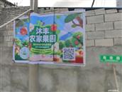 山东省,烟台市,栖霞市,蛇窝泊镇,前泥都村