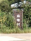 河南省,信阳市,新县,苏河镇,庙墩村