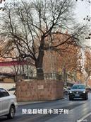 河北省,石家庄市,赞皇县,赞皇镇,北沟村