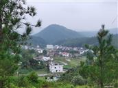 江西省,赣州市,于都县,岭背镇,元峰村