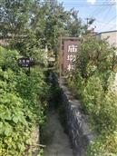 河南省,信阳市,新县,苏河镇,庙墩村