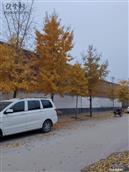 河北省,石家庄市,辛集市,田家庄乡,东张口村