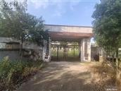 河南省,信阳市,新县,苏河镇,庙墩村