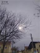 山东省,东营市,垦利区,垦利街道,小口子村