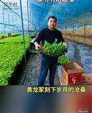 河北省,沧州市,献县,韩村镇,刘官庄村