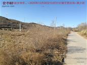 辽宁省,朝阳市,龙城区,半拉山街道,半拉山村