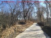 辽宁省,朝阳市,龙城区,半拉山街道,半拉山村