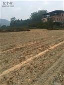 广东省,广州市,增城区,小楼镇,黄村