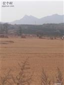 辽宁省,大连市,普兰店市,安波镇,郑屯村