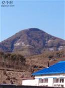 辽宁省,大连市,普兰店市,安波镇,郑屯村