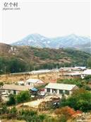 辽宁省,大连市,普兰店市,安波镇,郑屯村