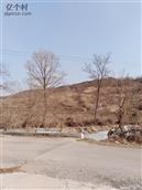 辽宁省,大连市,普兰店市,安波镇,郑屯村