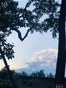 河北省,石家庄市,平山县,东回舍镇,白塔坡村