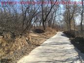 辽宁省,朝阳市,龙城区,半拉山街道,半拉山村