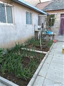 山东省,日照市,五莲县,街头镇,迟家庄村