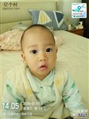 山东省,滨州市,滨城区,杨柳雪镇,丛家村