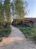 山东省,临沂市,莒南县,朱芦镇,大茅墩村