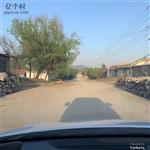 山东省,临沂市,莒南县,朱芦镇,大茅墩村