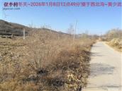 辽宁省,朝阳市,龙城区,半拉山街道,半拉山村