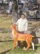 辽宁省,锦州市,黑山县,四家子镇,十八家子村