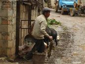 云南省,昆明市,寻甸县,金源乡,安丰村