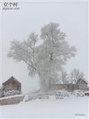 山东省,威海市,荣成市,荫子镇,后荫子夼村