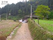 湖南省,怀化市,会同县,广坪镇,大湾村