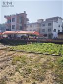 广西,贺州市,八步区,贺街镇,龙马村