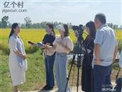 河南省,信阳市,息县,包信镇,徐围孜村