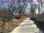 辽宁省,朝阳市,龙城区,半拉山街道,半拉山村