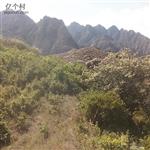 河北省,张家口市,阳原县,浮图讲乡,马主部村