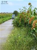 辽宁省,铁岭市,开原市,三家子乡,南英城村