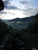 浙江省,金华市,婺城区,箬阳乡,周坞村