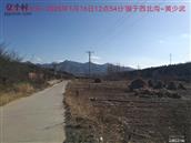 辽宁省,朝阳市,龙城区,半拉山街道,半拉山村