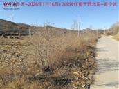 辽宁省,朝阳市,龙城区,半拉山街道,半拉山村