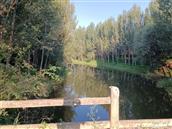 山东省,德州市,宁津县,相衙镇,梳头李村