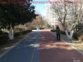 辽宁省,朝阳市,龙城区,半拉山街道,半拉山村