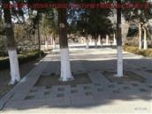 辽宁省,朝阳市,龙城区,半拉山街道,半拉山村