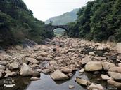 湖南省,株洲市,茶陵县,严塘镇,花木村