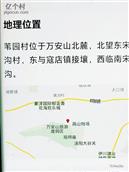 河南省,洛阳市,洛龙区,李村镇,苇园村