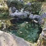 湖南省,株洲市,茶陵县,严塘镇,花木村